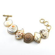 Alchemía Multiple Sea Shell Large Bracelet