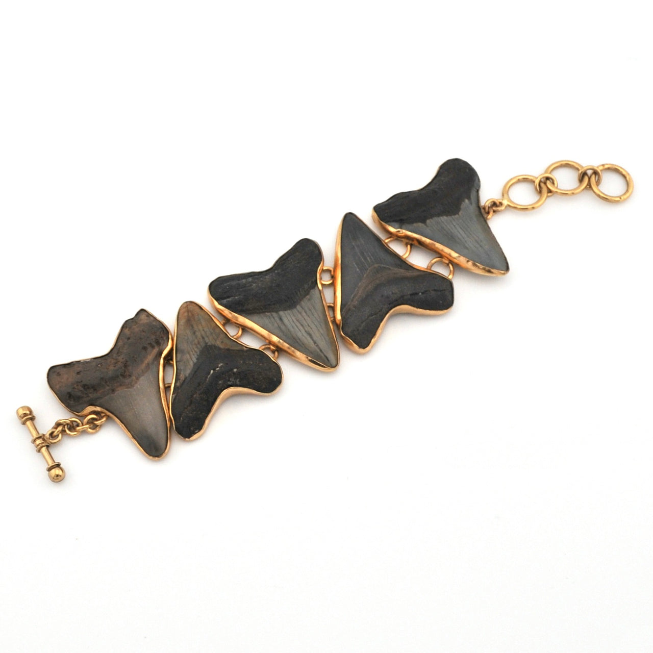 Bracelet with shark teeth on a white background