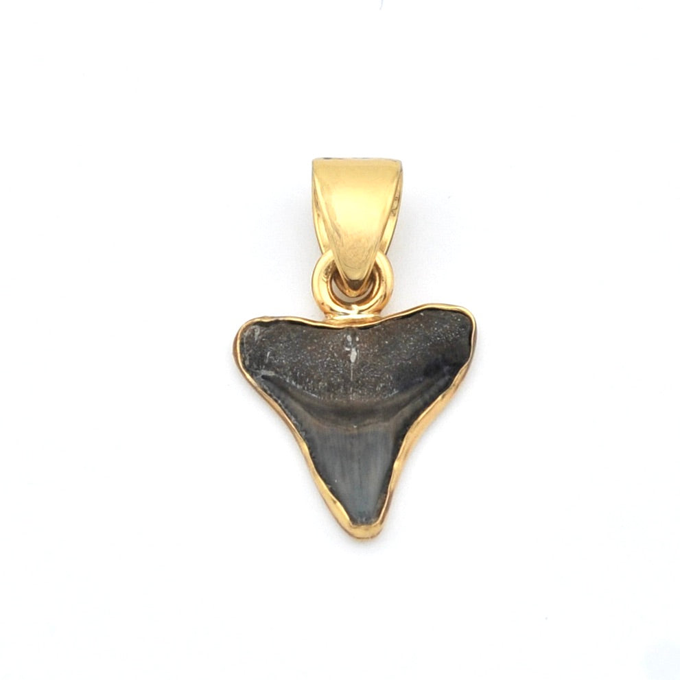 Alchemia Shark Tooth Pendant