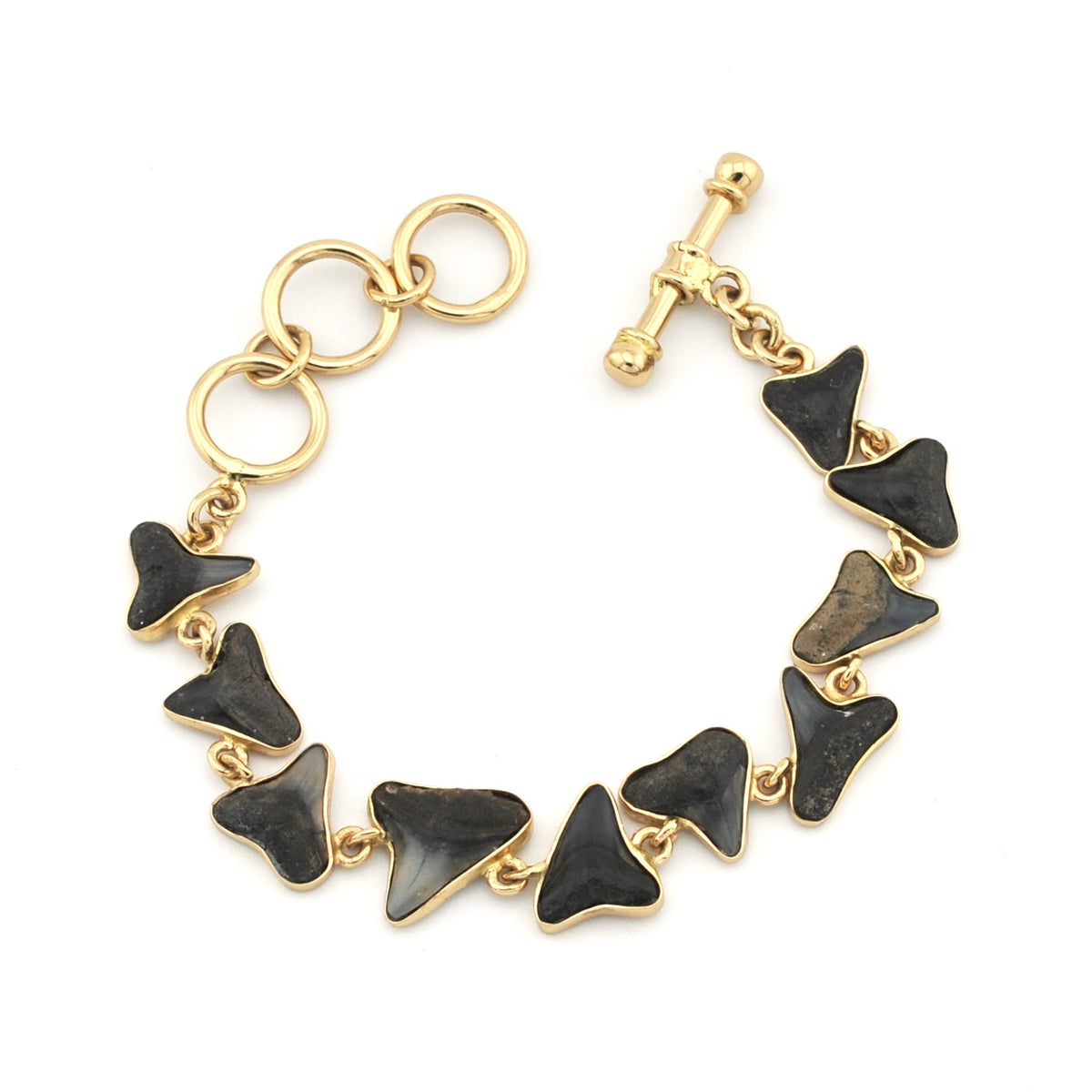 A gold-tone bracelet featuring a series of shark teeth, displayed on a clean white background.