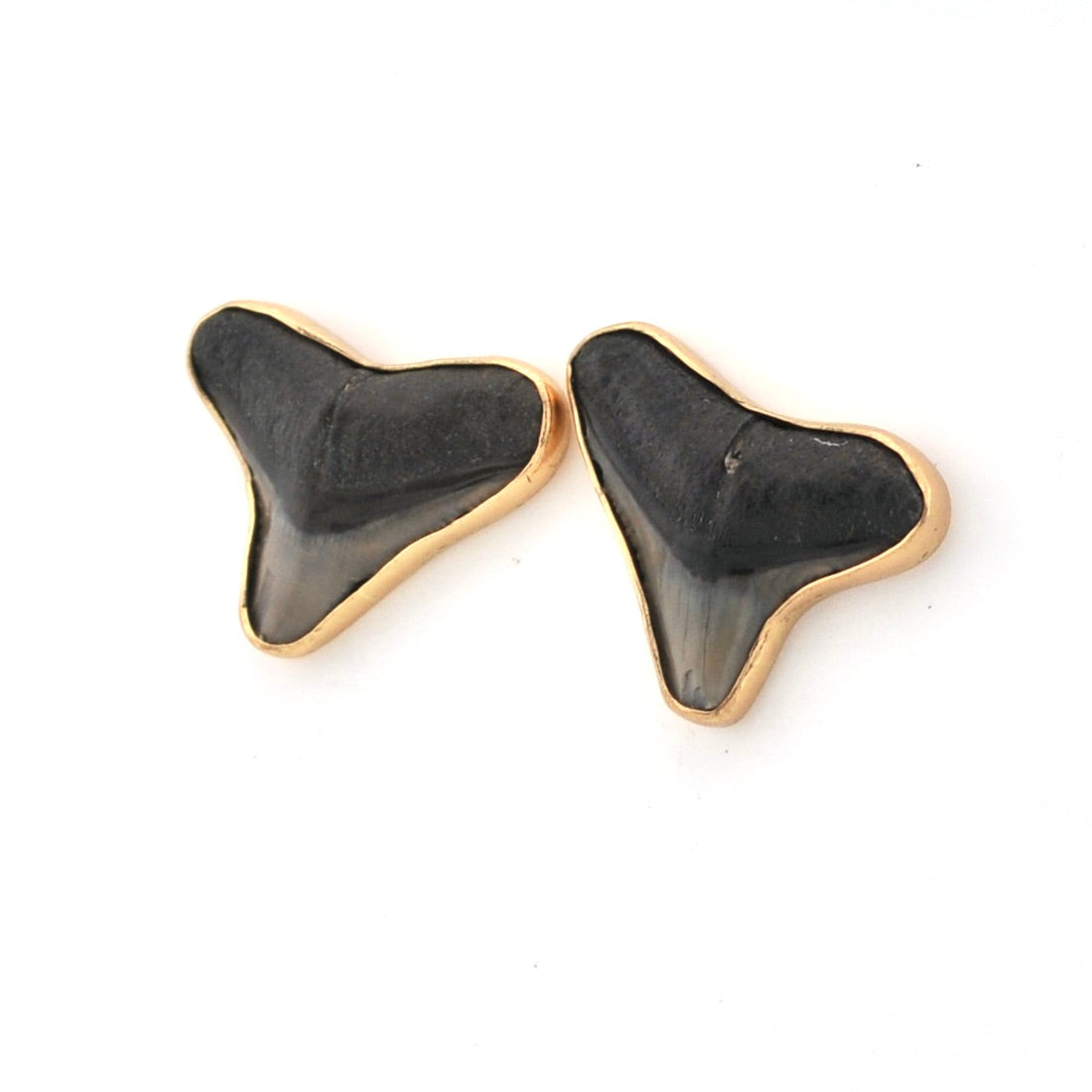 Shark tooth-shaped earrings with gold accents on a white background