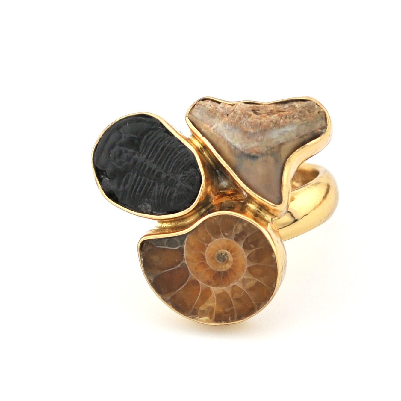 Gold ring with three different fossils on a white background
