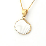 Gold necklace with a white shell pendant on a white background
