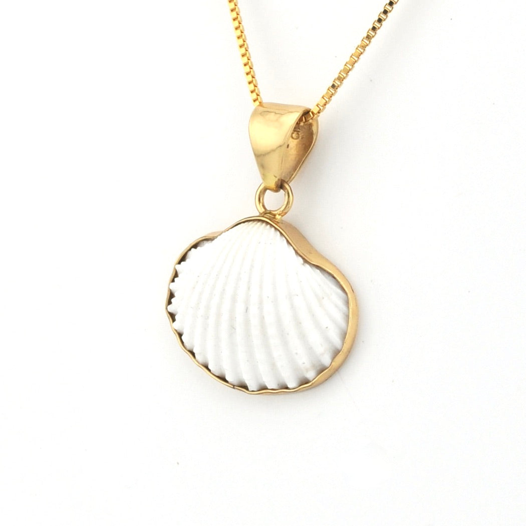 Gold necklace with a white shell pendant on a white background