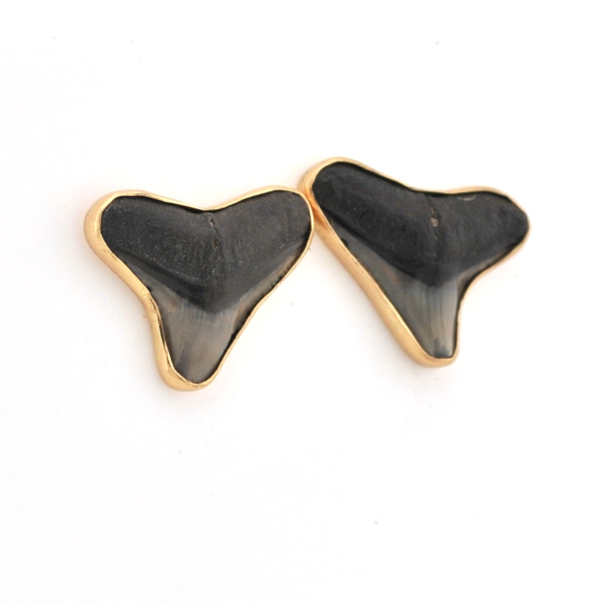 Shark tooth-shaped earrings with gold accents on a white background
