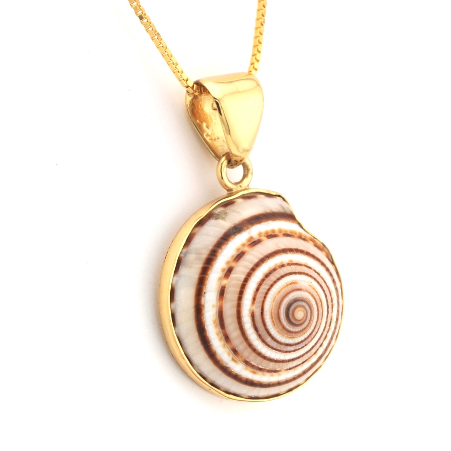 Gold necklace with a shell pendant on a white background