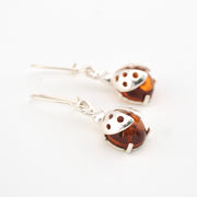 Ladybug amber earrings with silver hooks on a white background