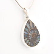 Teardrop-shaped pendant with fossil design on a white background