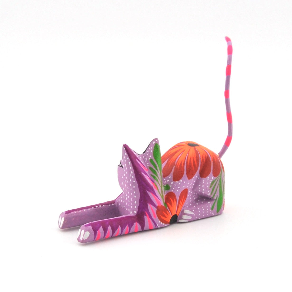 Alternate View Cat Resting by Matias