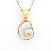 Gold necklace with a shell pendant on a white background