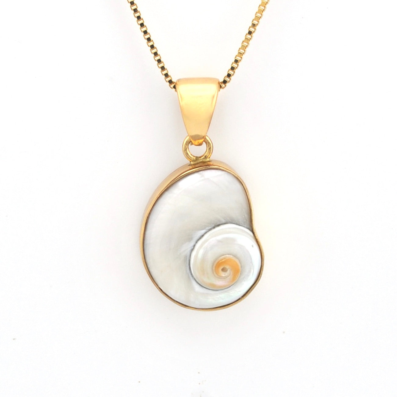 Gold necklace with a shell pendant on a white background