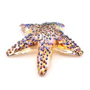 Alternate View Glass Golden Starfish