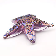 Alternate View Glass Lilac Starfish