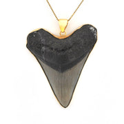 Alternate View Megalodon Shark Tooth 3.125" Pendant