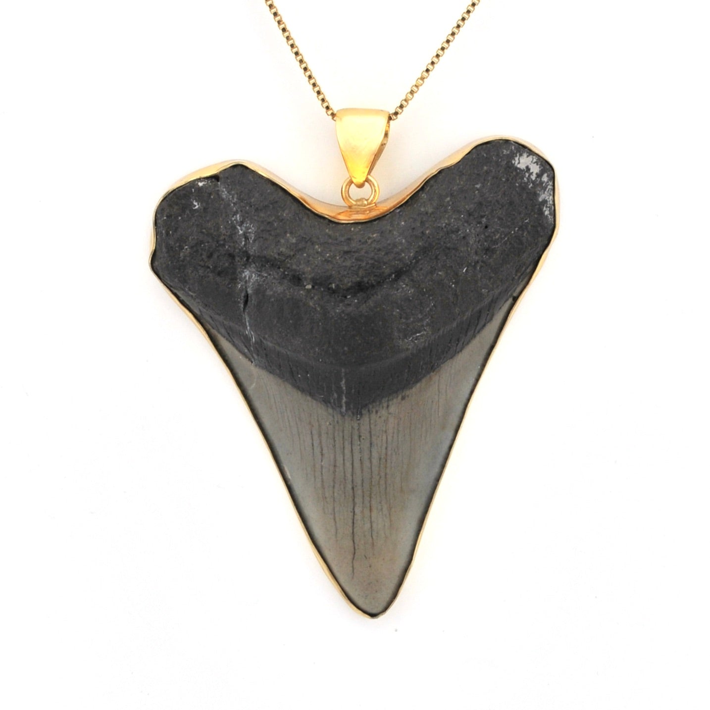 Alternate View Megalodon Shark Tooth 3.125" Pendant