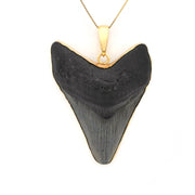 Alternate View Megalodon Shark Tooth 3.875" Pendant
