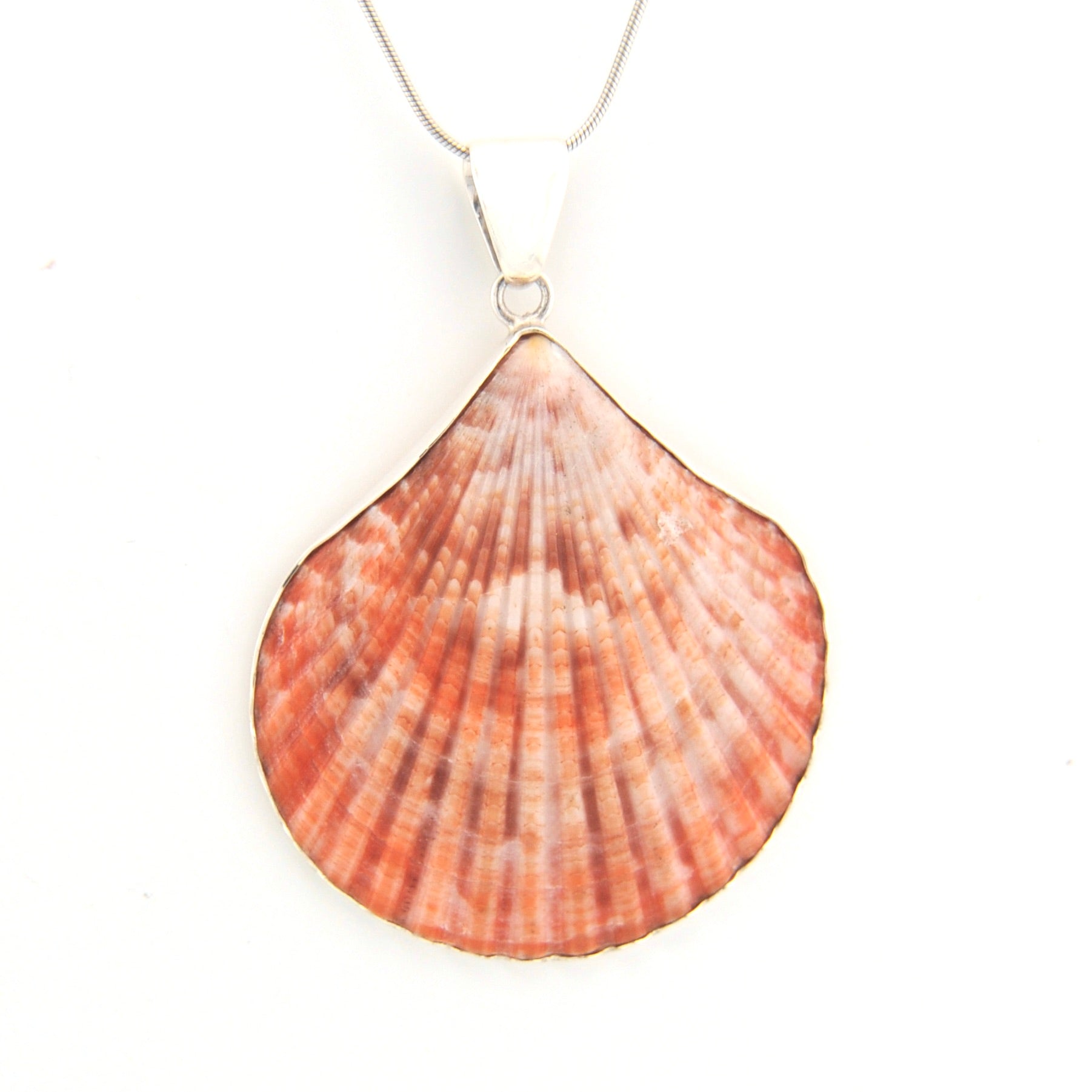 Shell pendant necklace on a white background