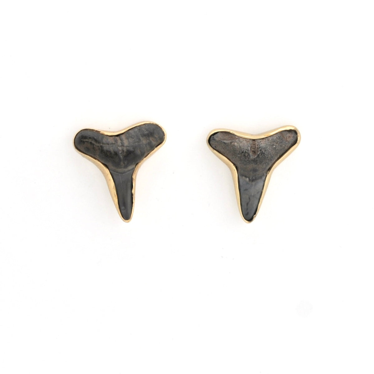 A pair of shark tooth stud earrings with dark gray to black textured inlays and gold-tone edges, displayed on a clean white background.