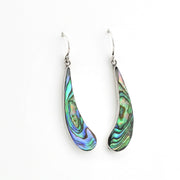 Pair of abalone shell earrings on a white background