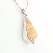 Shell pendant on a silver chain against a white background