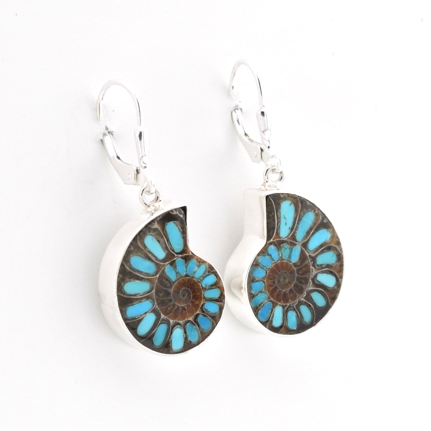 Pair of earrings with blue and brown circular designs on a white background
