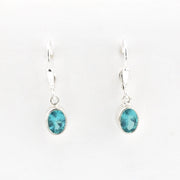 Pair of silver earrings with blue gemstones on a white background