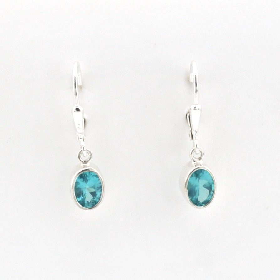 Pair of silver earrings with blue gemstones on a white background