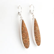 Pair of earrings with brown petrified wood and silver metal on a white background