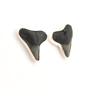 Shark tooth-shaped earrings on a white background