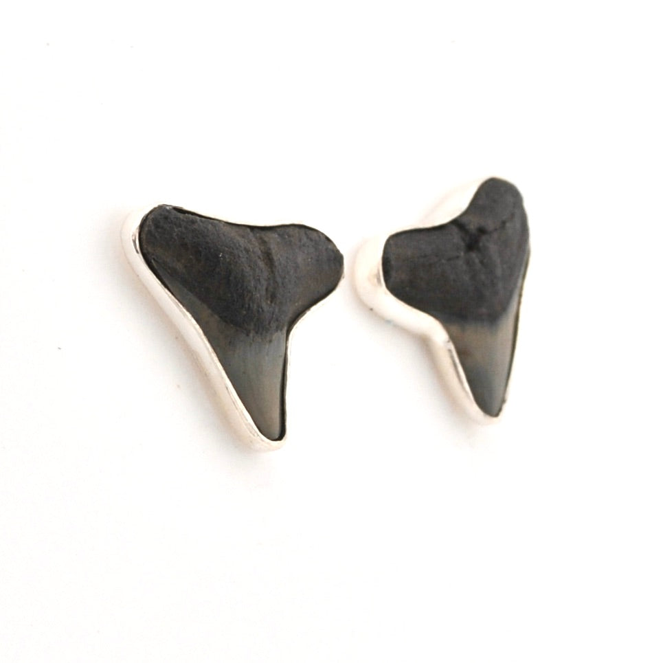 Shark tooth-shaped earrings on a white background