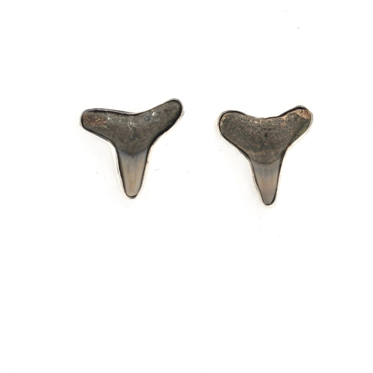 Shark tooth-shaped earrings on a white background