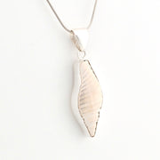 Silver seashell pendant on a chain against a white background