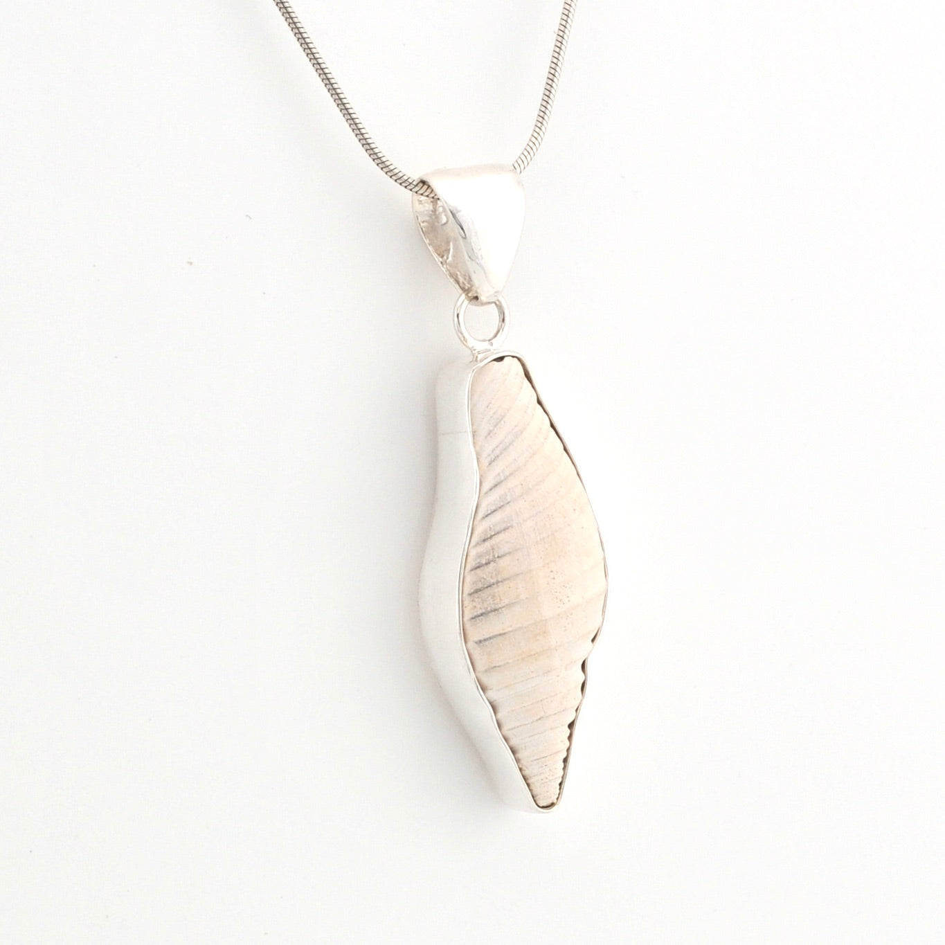Silver seashell pendant on a chain against a white background
