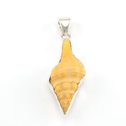 Alternate View Silver House Conch Shell Pendant