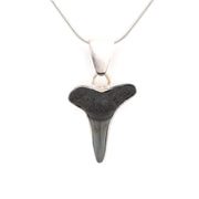 Alternate View Silver Lemon Shark Tooth Pendant