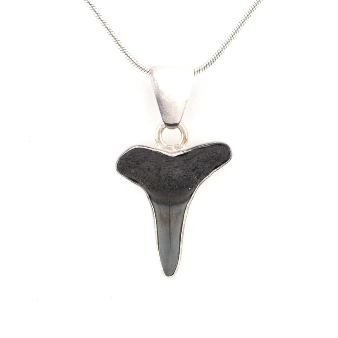 Alternate View Silver Lemon Shark Tooth Pendant