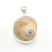 Alternate View Silver Moon Snail Shell Pendant