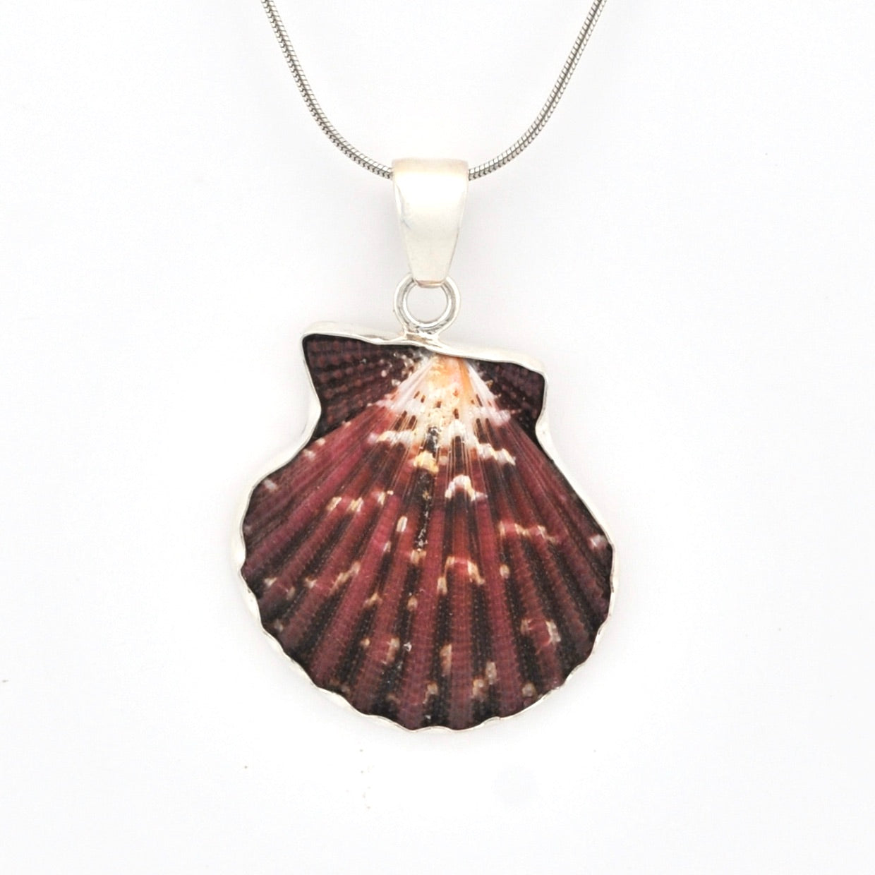 Shell-shaped pendant on a chain against a white background