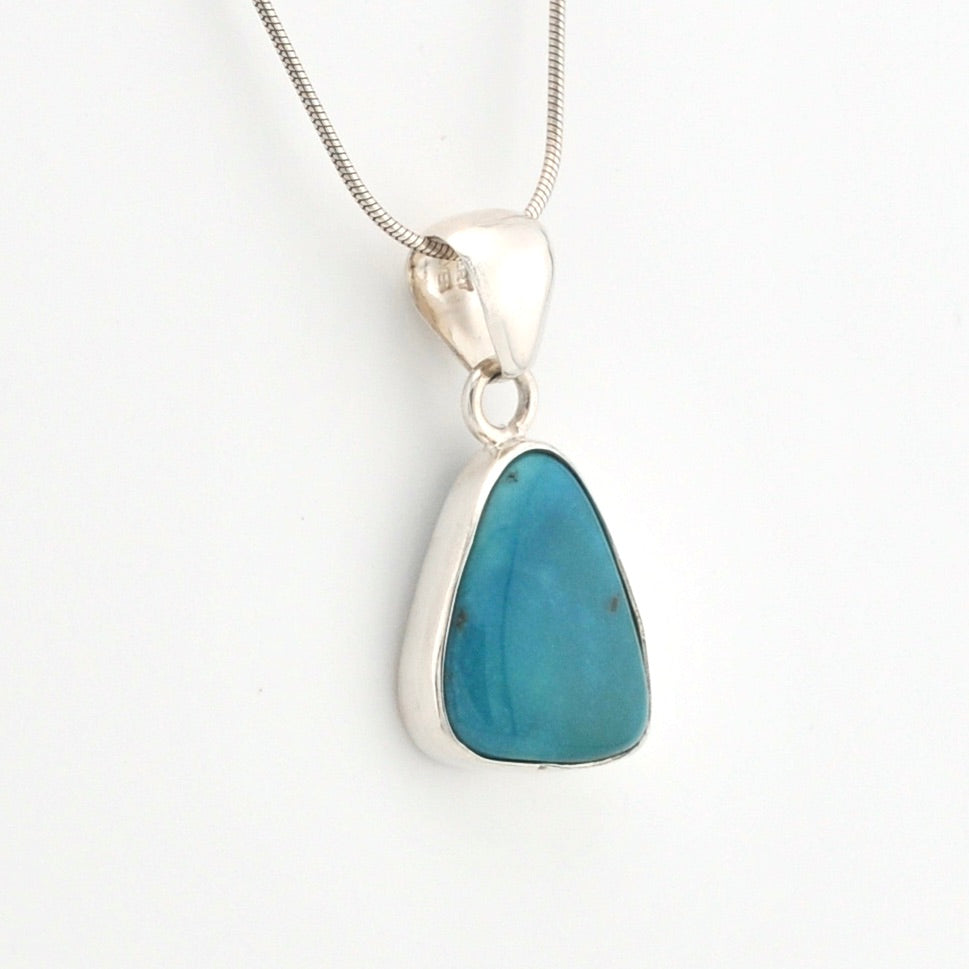 Turquoise pendant on a silver chain against a white background