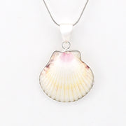 Alternate View Silver White Ark Shell PendantSilver White Ark Shell Pendant