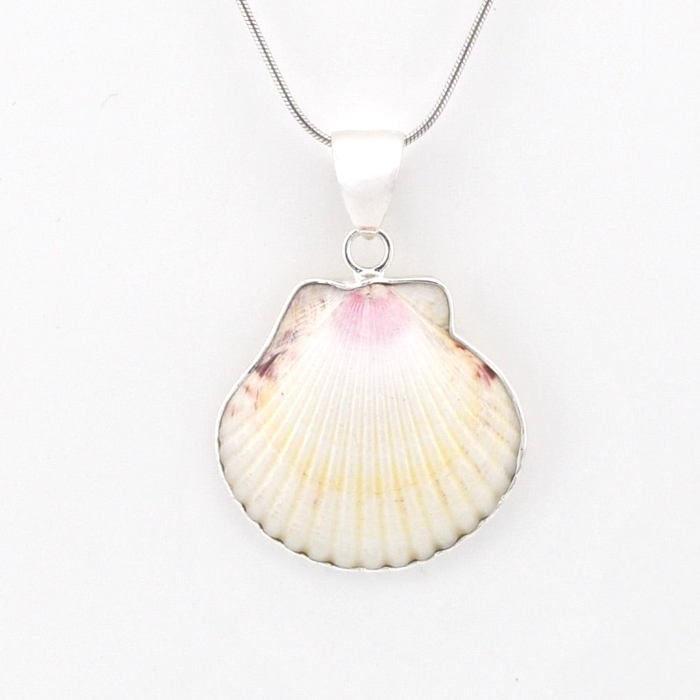 Alternate View Silver White Ark Shell PendantSilver White Ark Shell Pendant