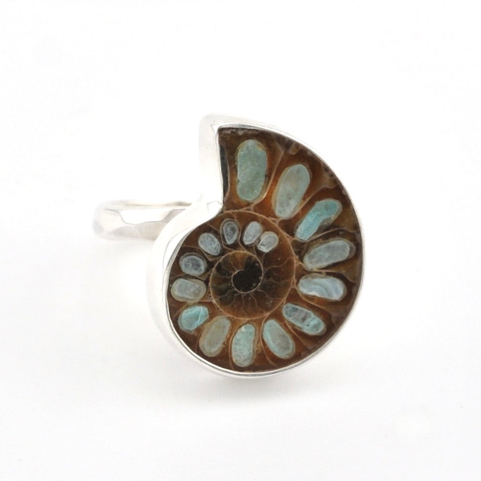 A silver ring featuring a polished spiral ammonite fossil inlay with brown and light blue-green segments, set against a plain white background.