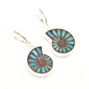 Pair of earrings with blue and brown circular designs on a white background