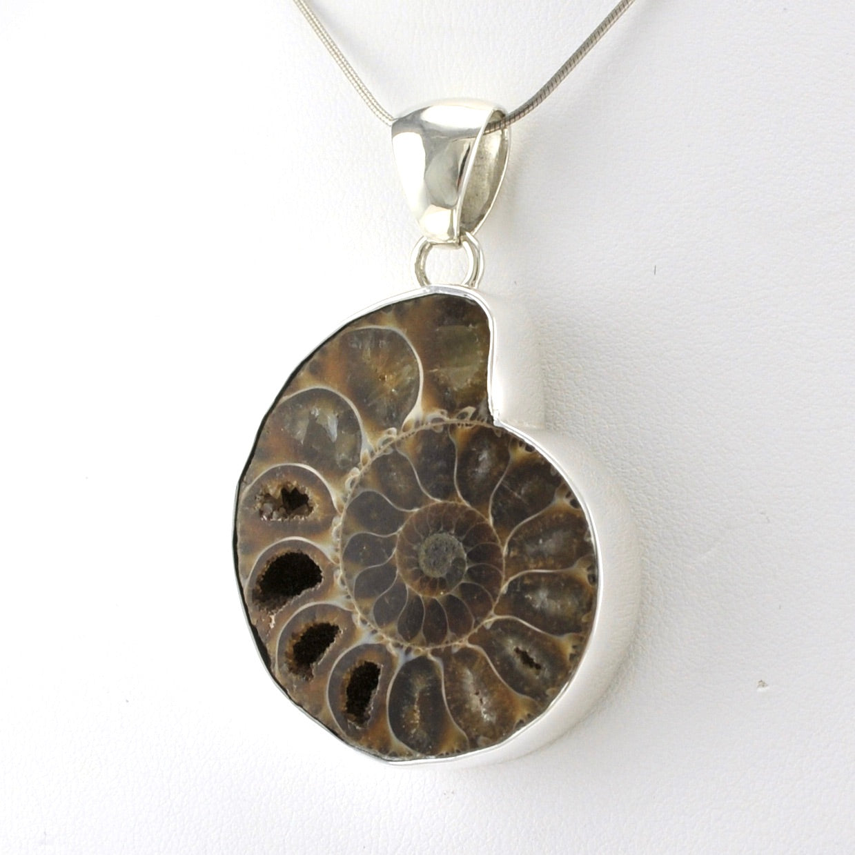 Sterling Silver Fossil Ammonite Pendant