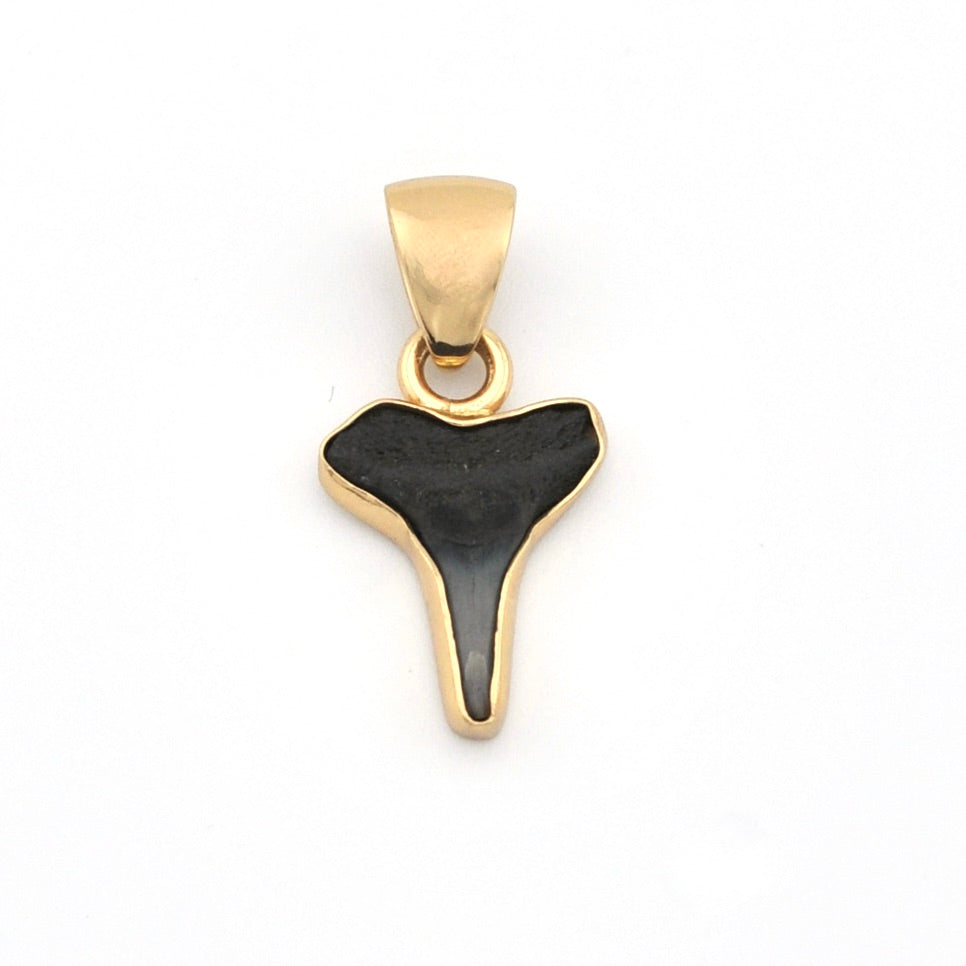 Alchemía Lemon Shark Tooth Pendant