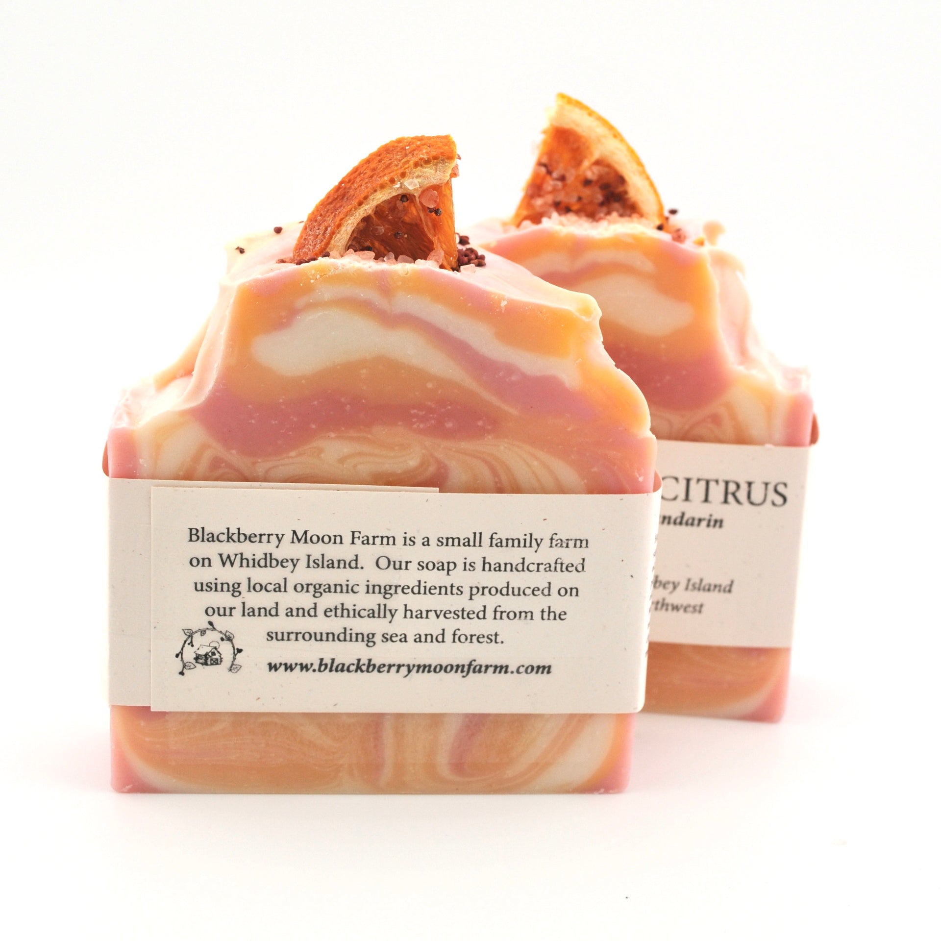Back Side Handmade Sea Salt and Citrus Soap
