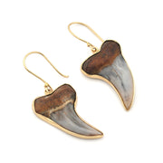 Bakersfield Mako Shark Tooth Earrings