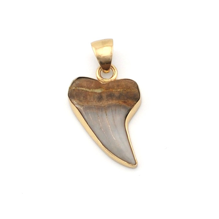 Bakersfield Mako Shark Tooth Pendant