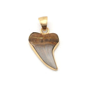 Bakersfield Mako Shark Tooth Pendant