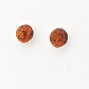 Pair of amber stud earrings on a white background